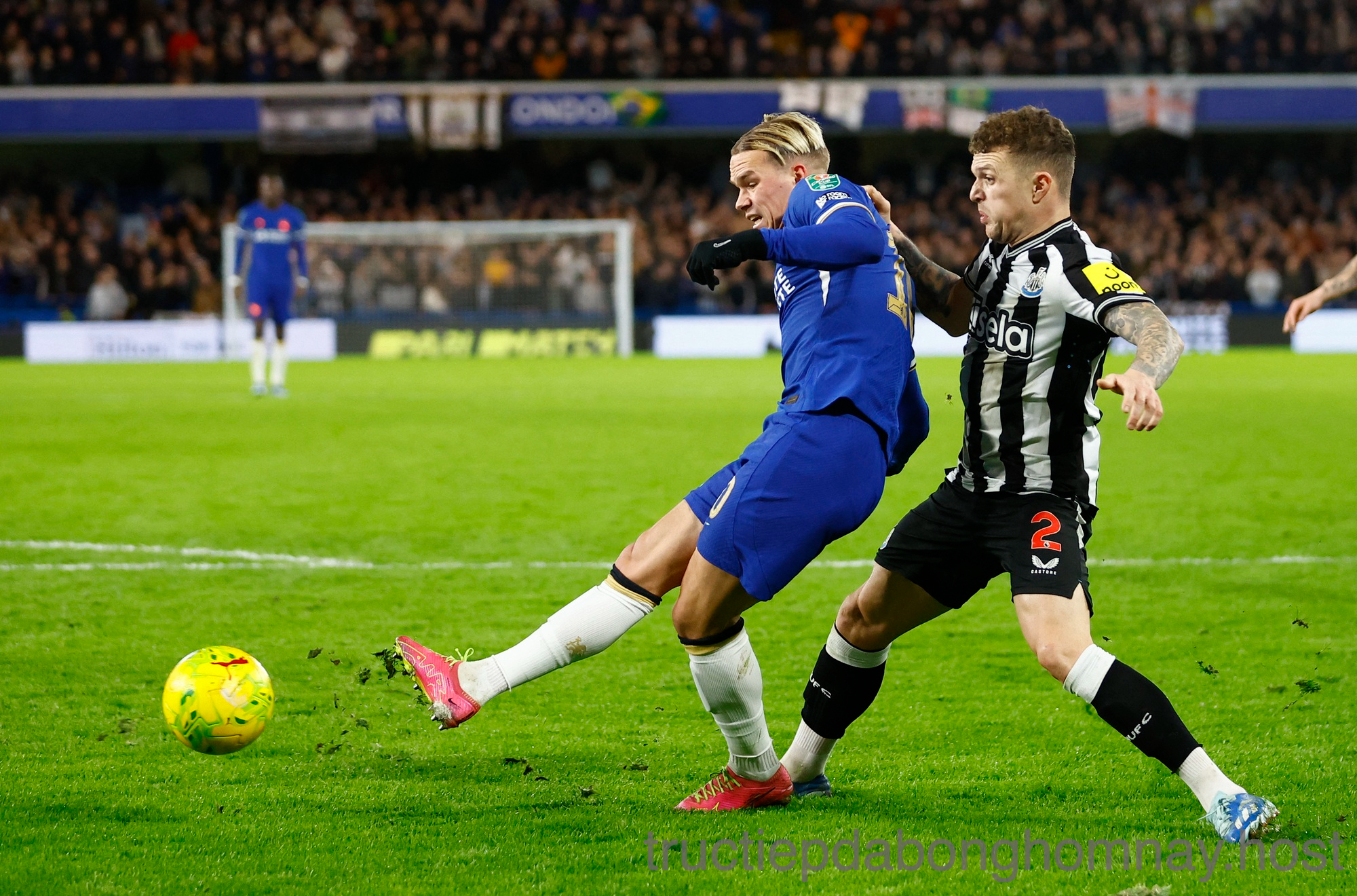 Chelsea thua trước Newcastle United