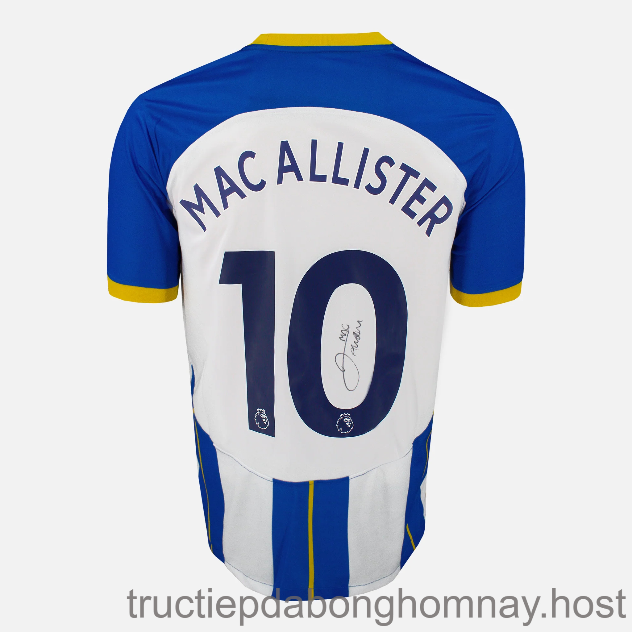 Đây là thời điểm của Mac Allister. Cũng là niềm tự hào của cả CLB Brighton